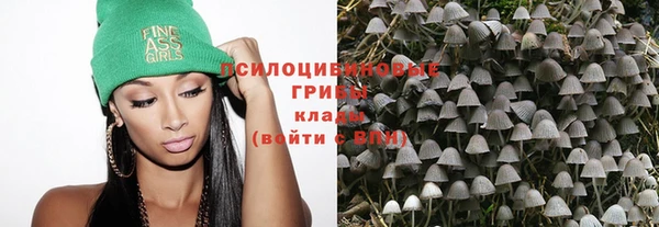 apvp Лиски