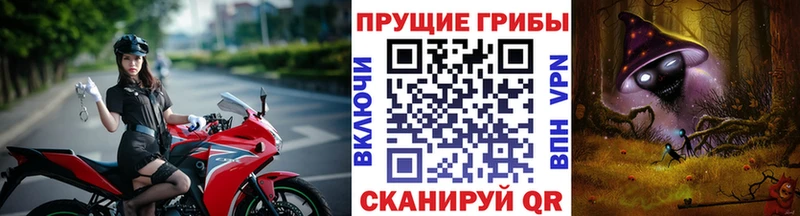 Галлюциногенные грибы Cubensis  Усмань 